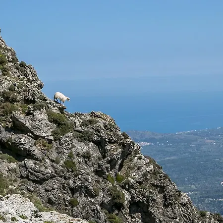 Διαμέρισμα Korakas Beach